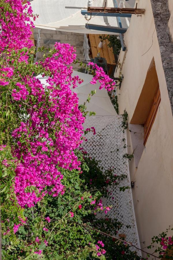 Theogonia Apartment Ермополи Екстериор снимка
